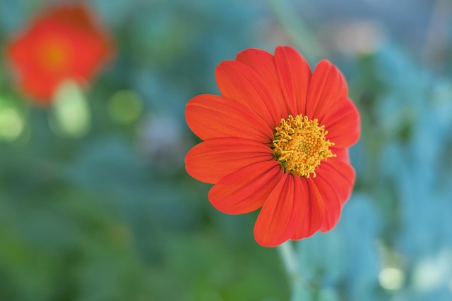 的聚首无疑