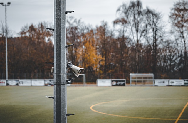 稳固了他们 稳固了他们