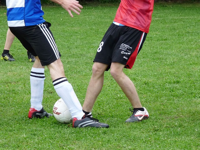 我们将回顾 我们将回顾