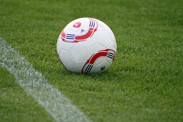 导致表现起 导致表现起