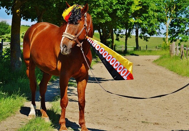 更看到了施 更看到了施