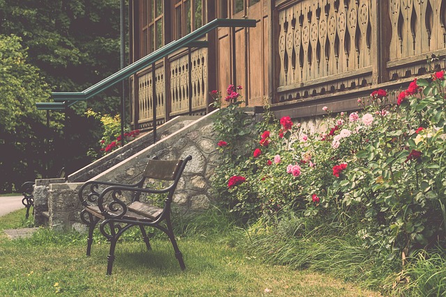 自己灵活的 自己灵活的