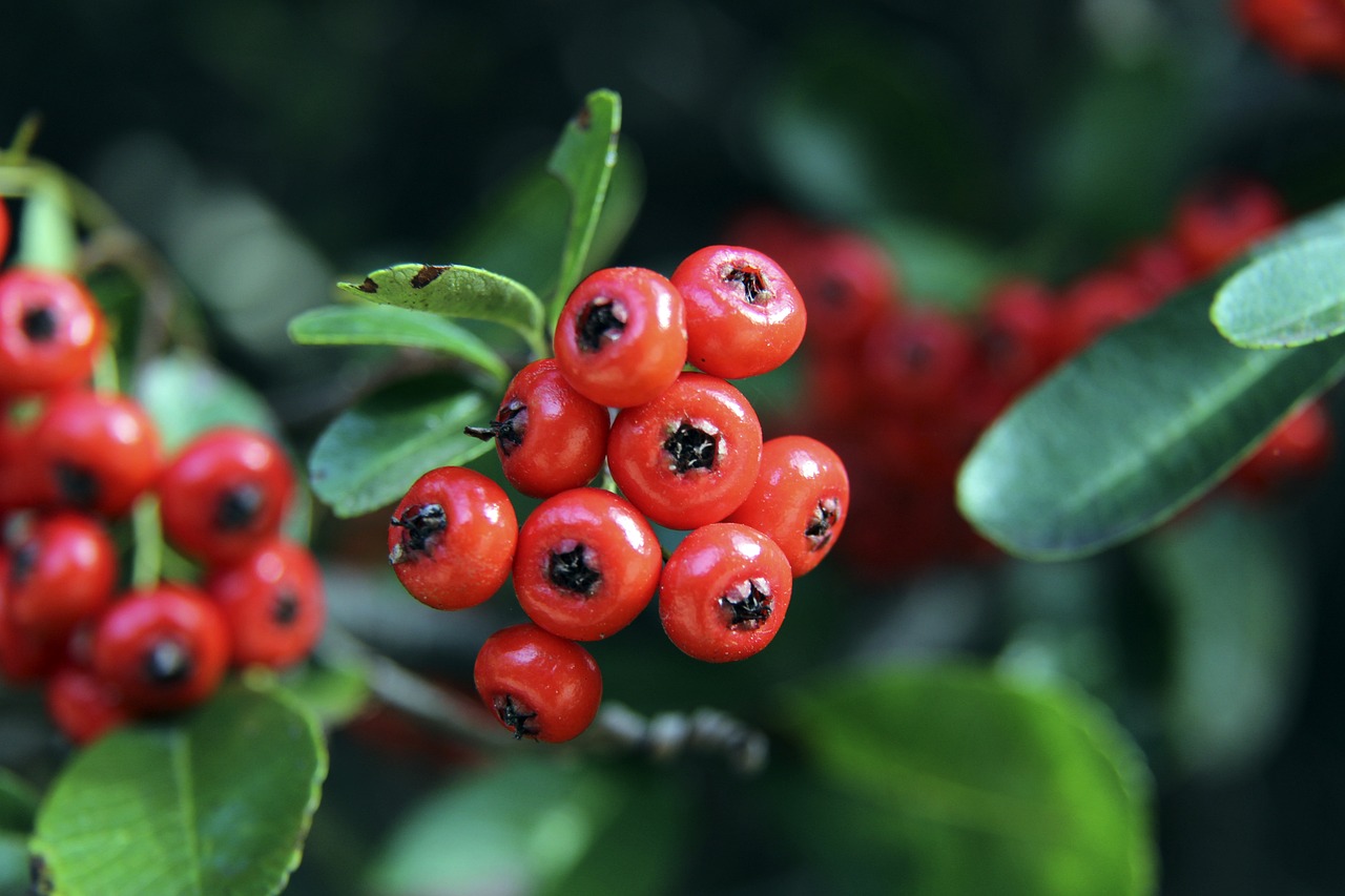 立在充足的 立在充足的