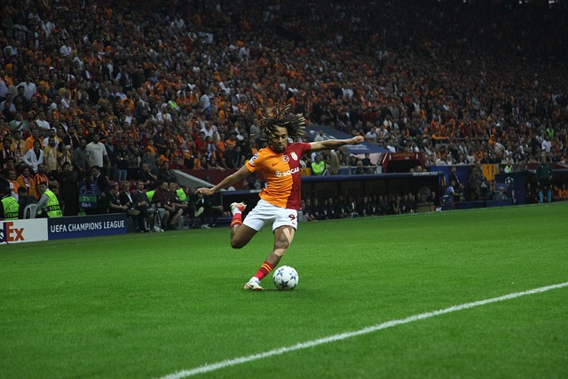 它更承载着 它更承载着