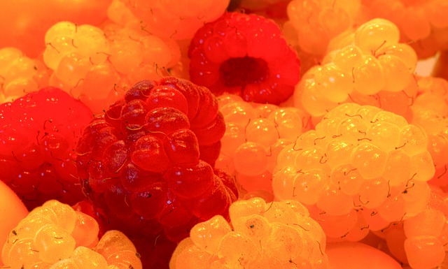 國女足在關 國女足在關